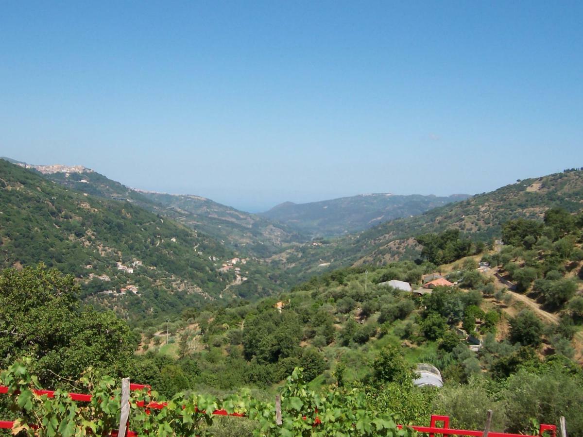 Agriturismo Don Cesarino Contura Εξωτερικό φωτογραφία