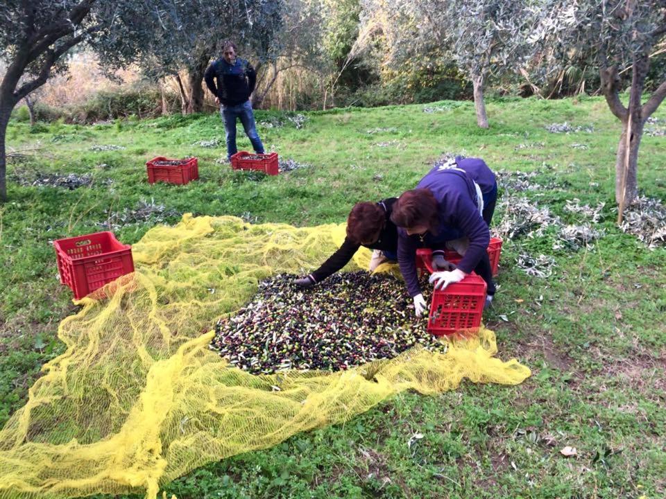 Agriturismo Don Cesarino Contura Εξωτερικό φωτογραφία